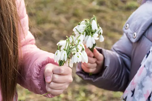 children snowdrops - Fostering Connections